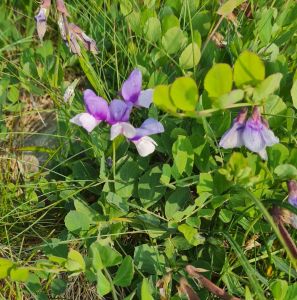 024