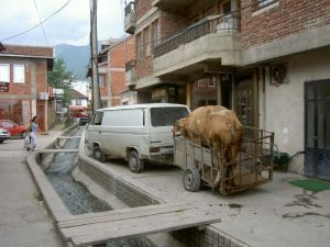 kosovo058
