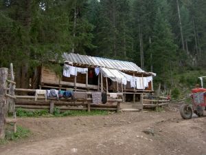 kosovo059