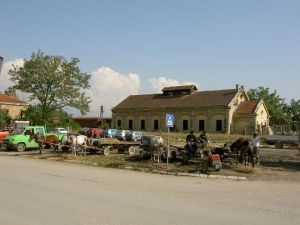 kosovo064